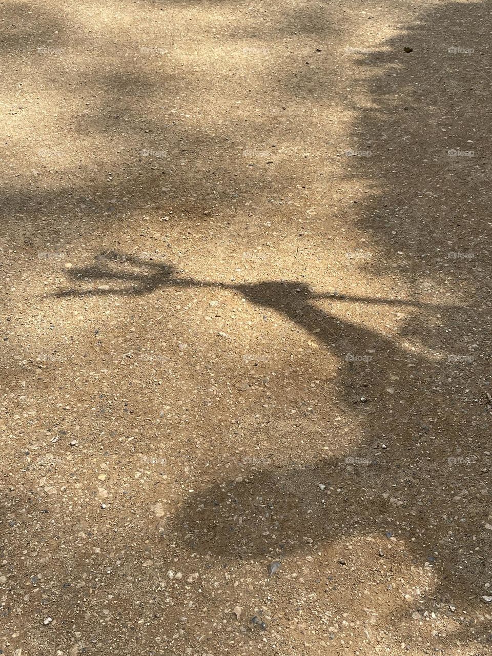Trident Shadow, Wrest Park