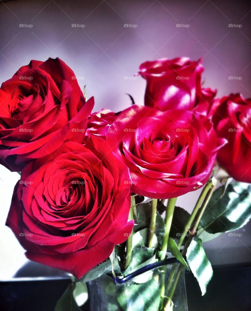 Red roses