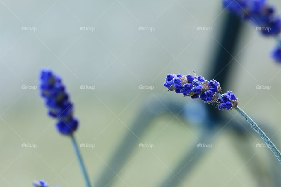 souffle un air d'été
