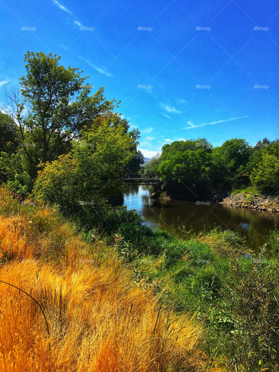 Summer day at the park! 