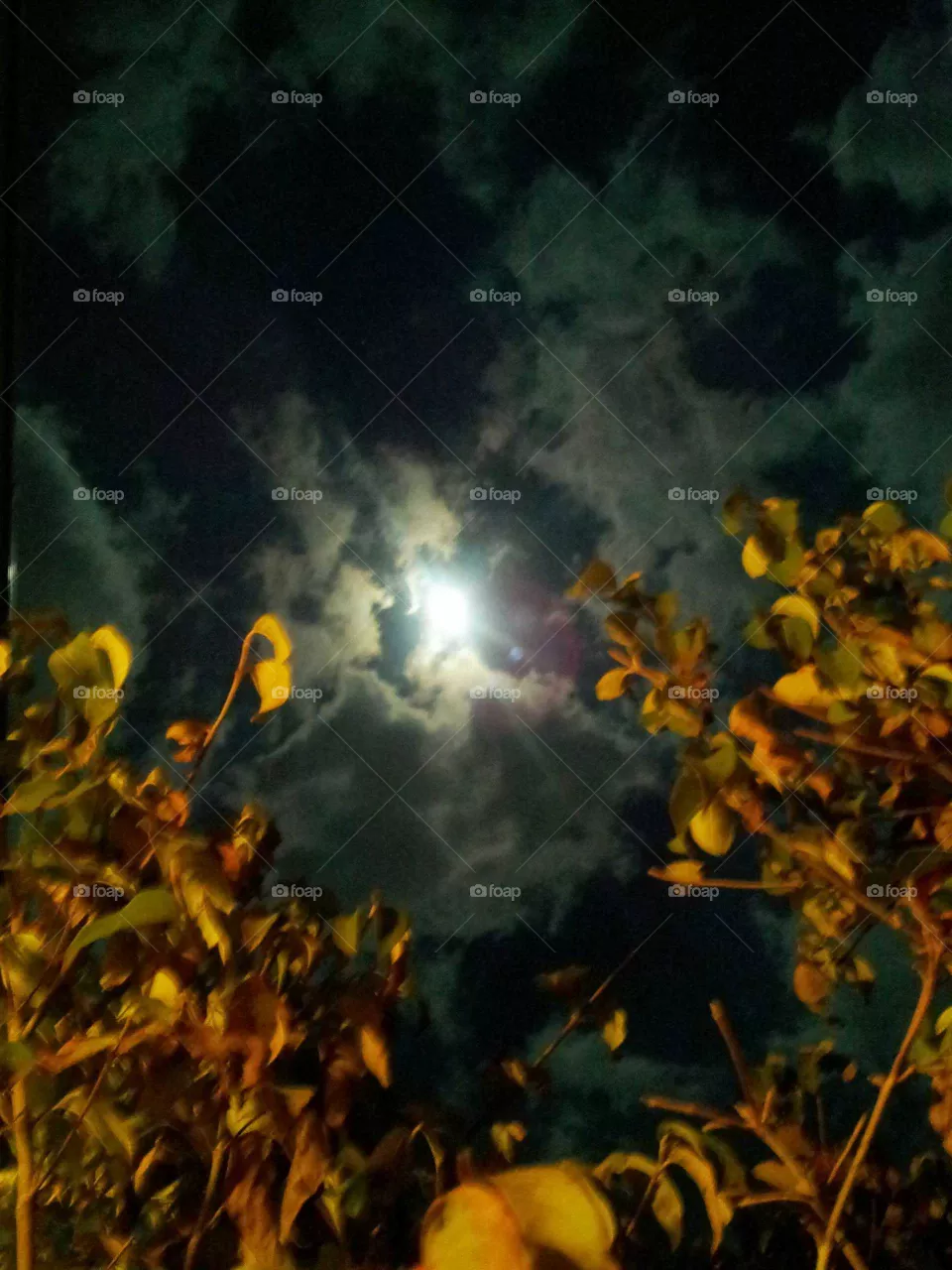 fall