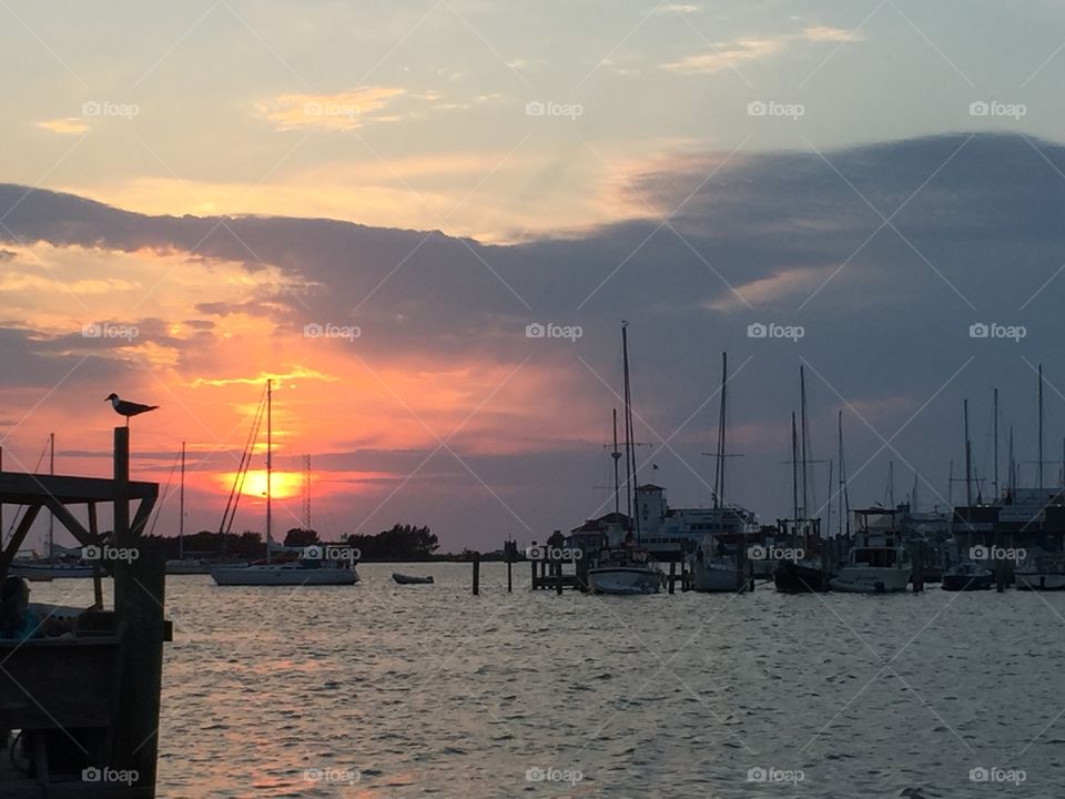 Sail boats at sunset