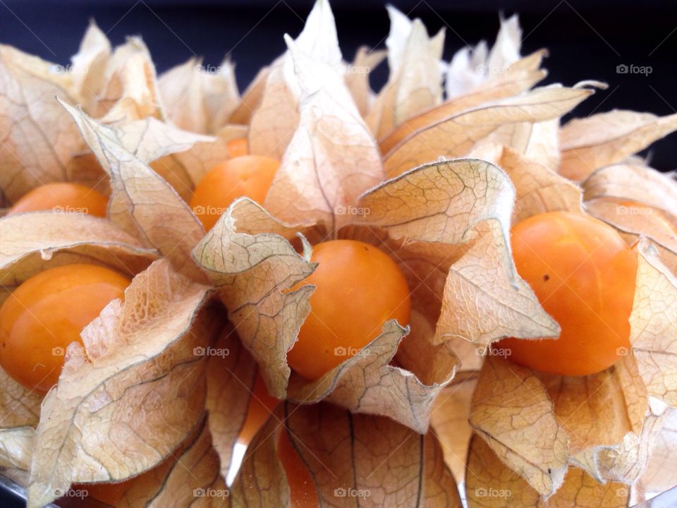 Close-up of physalis fruit