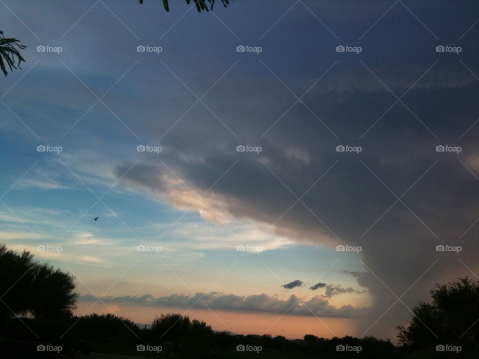 sky blue clouds bird by melody