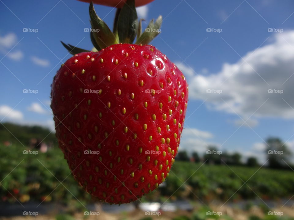 strawberry