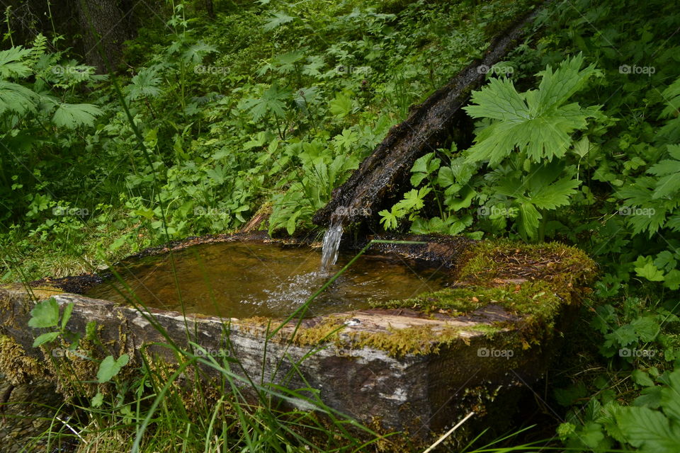 Old Water source 