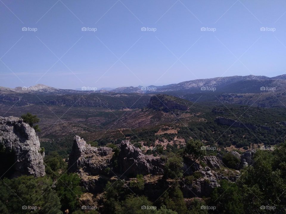 Editors' Choice: Photo of the Week