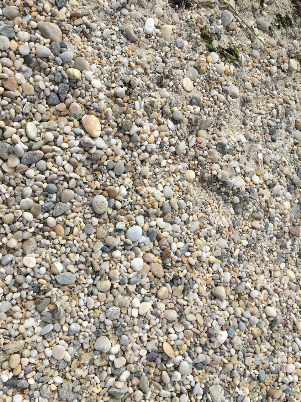 Texture on the beach