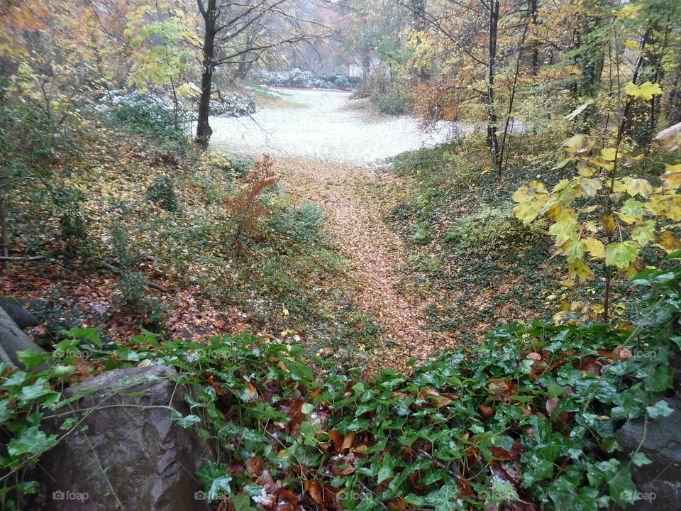Parc de Mariemont , la Louvière