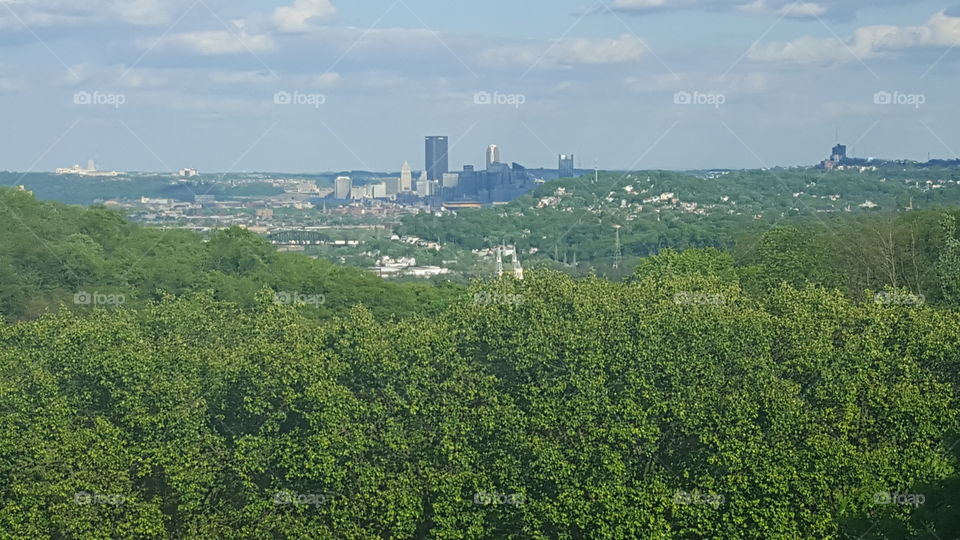 Tree, Landscape, No Person, Travel, Agriculture