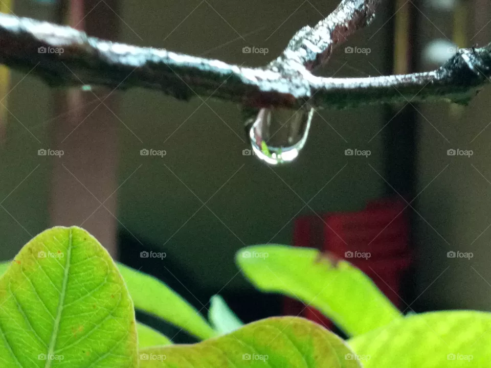 drop