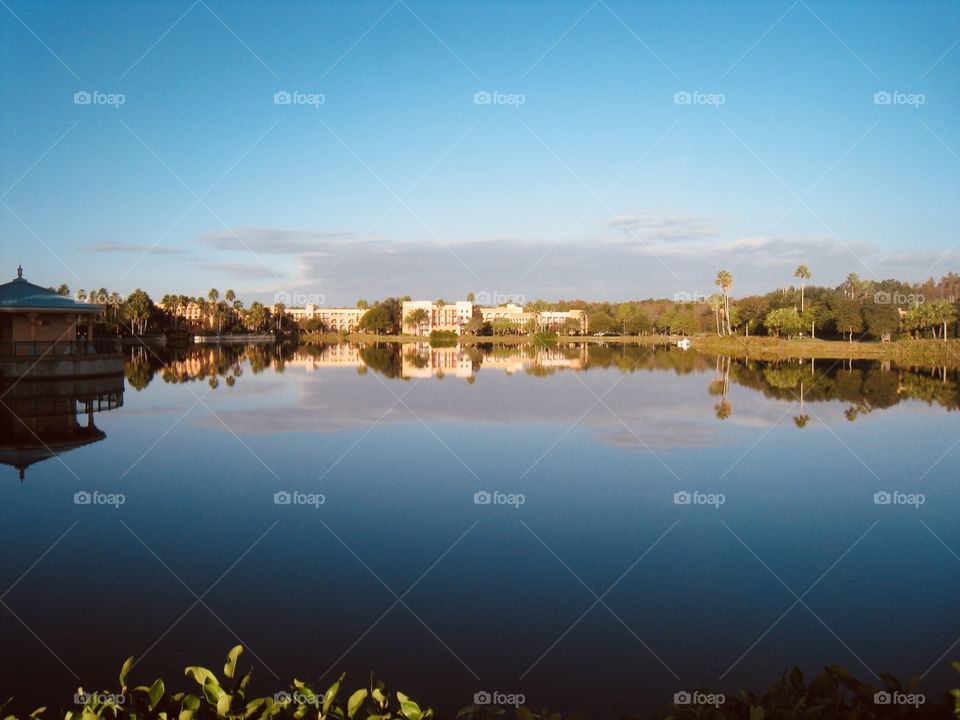 Taking gorgeous outdoor photos in beautiful serene marshy area while on nature walk. 