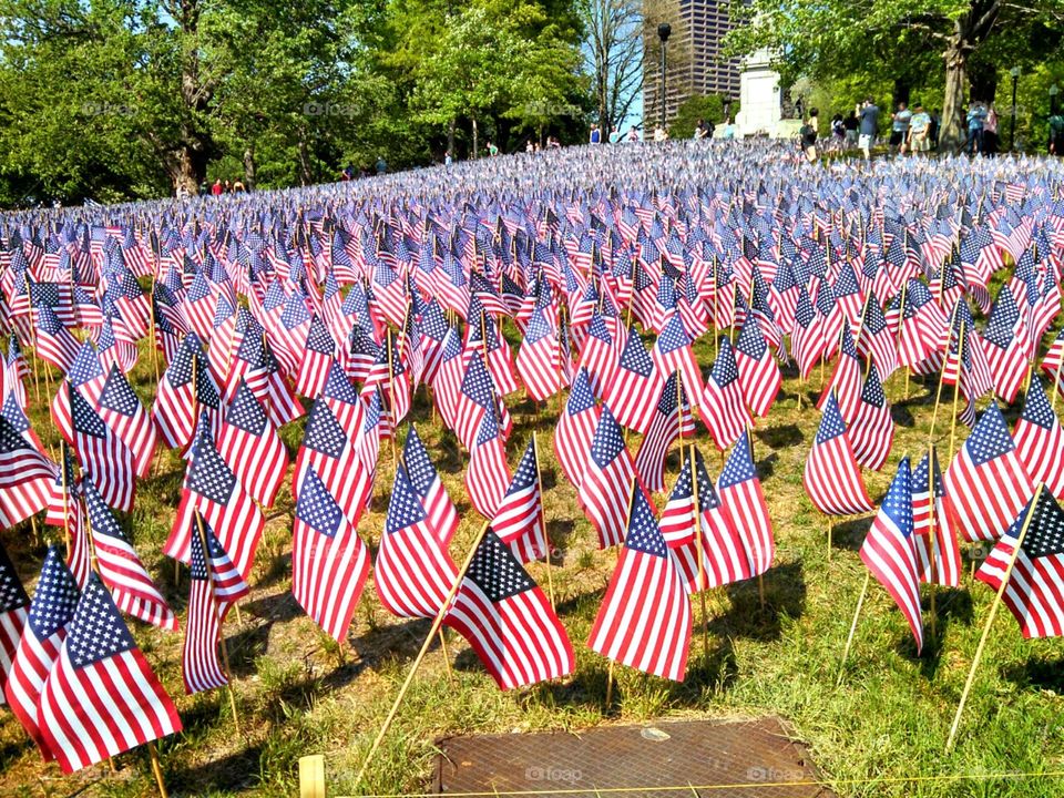 Garden of Flags. Memorial Day Flag Garden in the Boston Common - one flag for every U.S. soldier who has died in every conflict since the Revolutionary War.