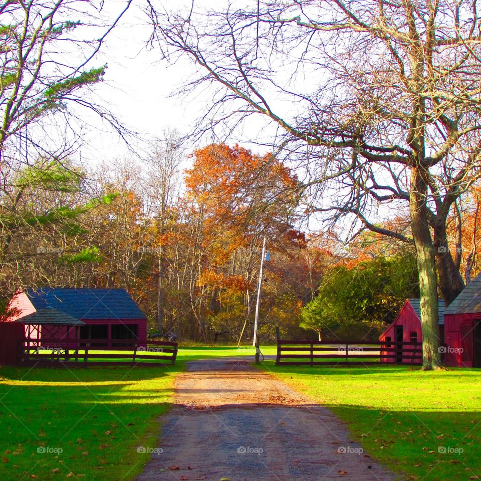 Barns