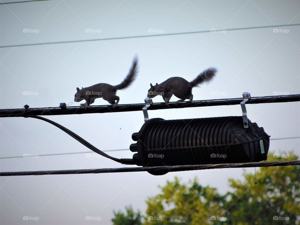 double trouble cuties