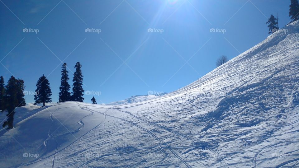 snow ladden Gulmarg
