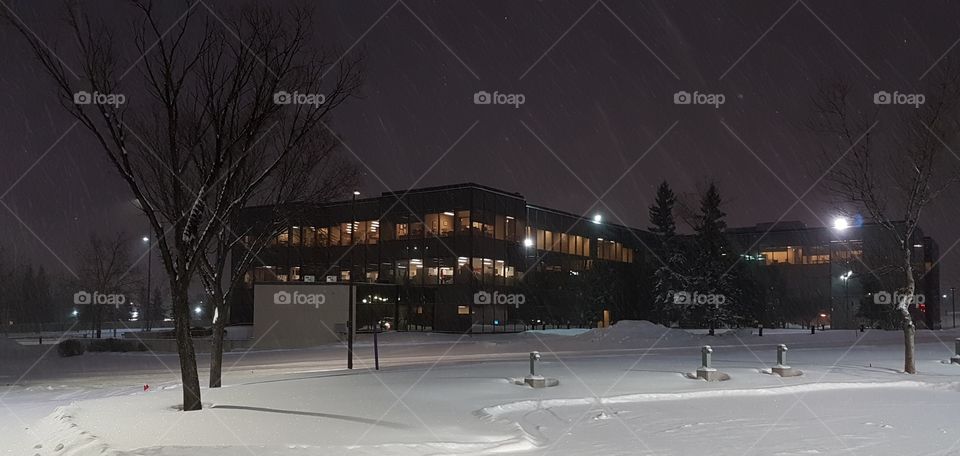 Working Hard or Hardly Working?