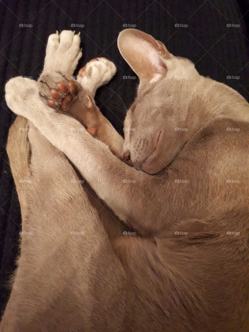 Nice and comfortable 😂