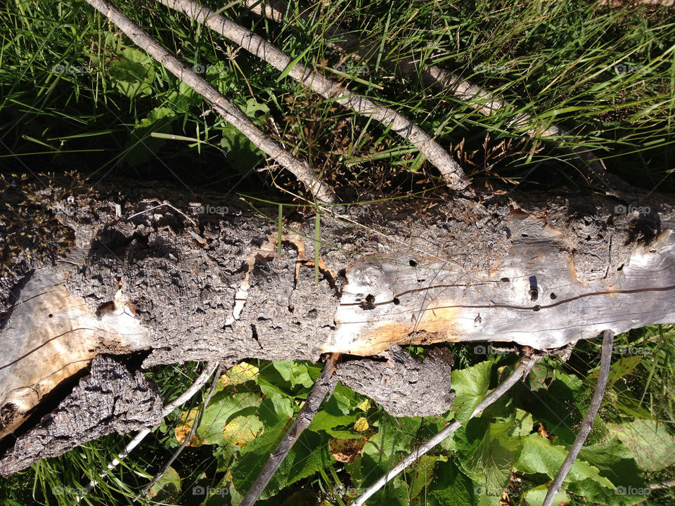 italy province of vicenza by gabur64