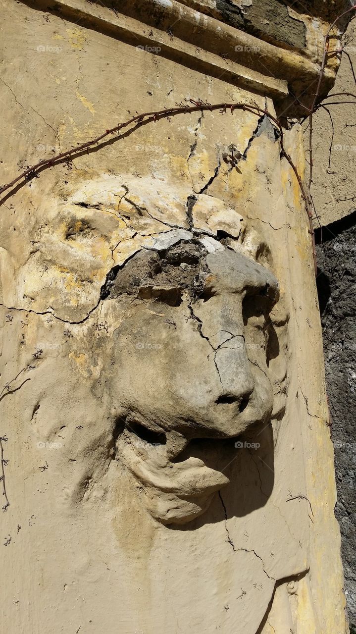 broken lion head