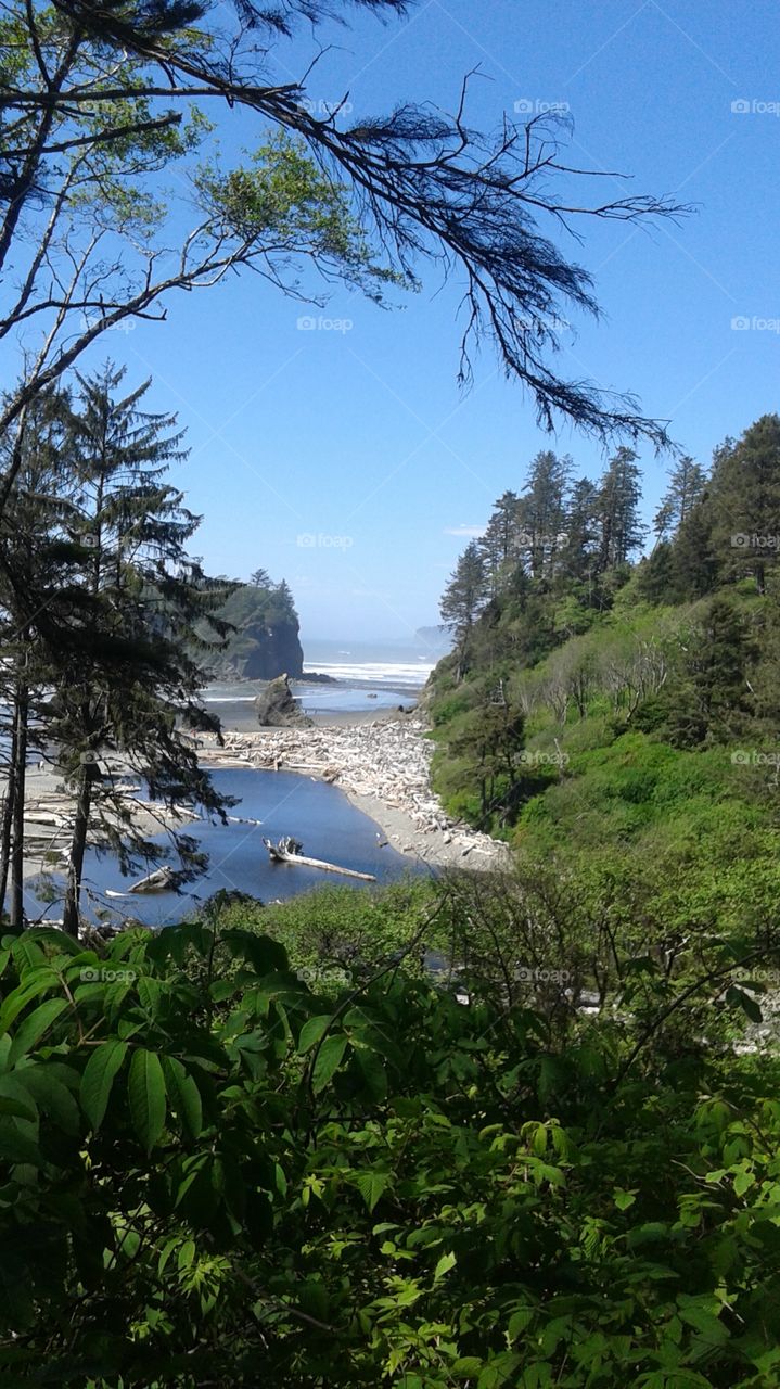 Ruby beach