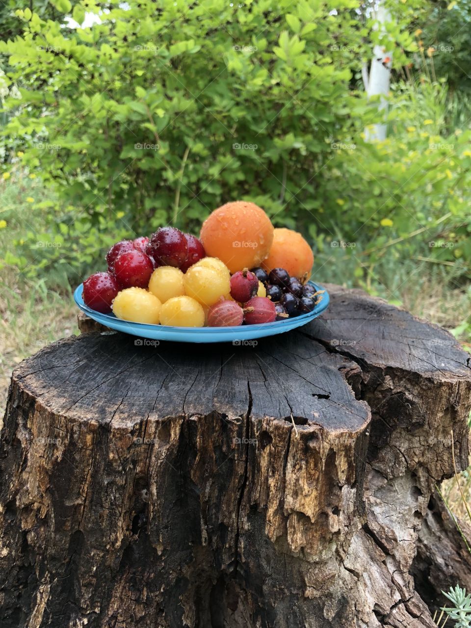 Фрукты, ягоды