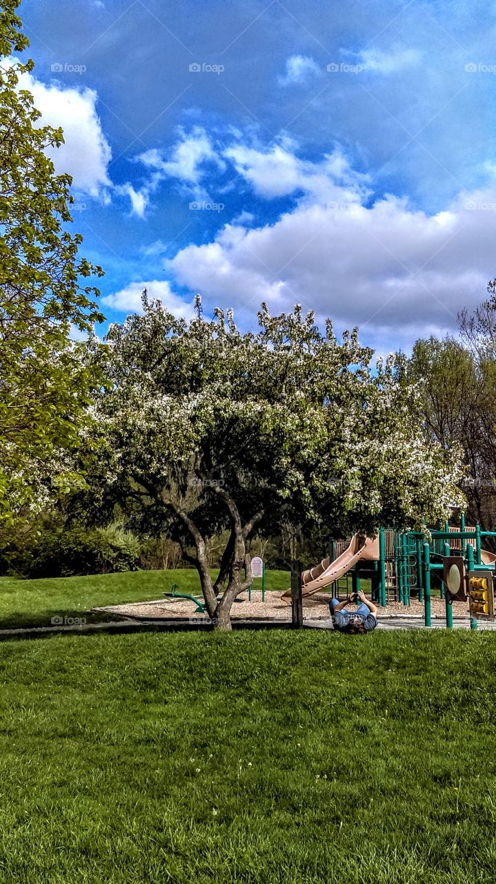 local Park
