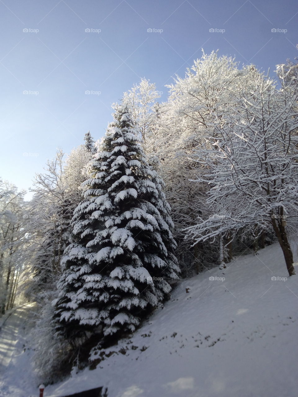 Bad Wildbad in winter
