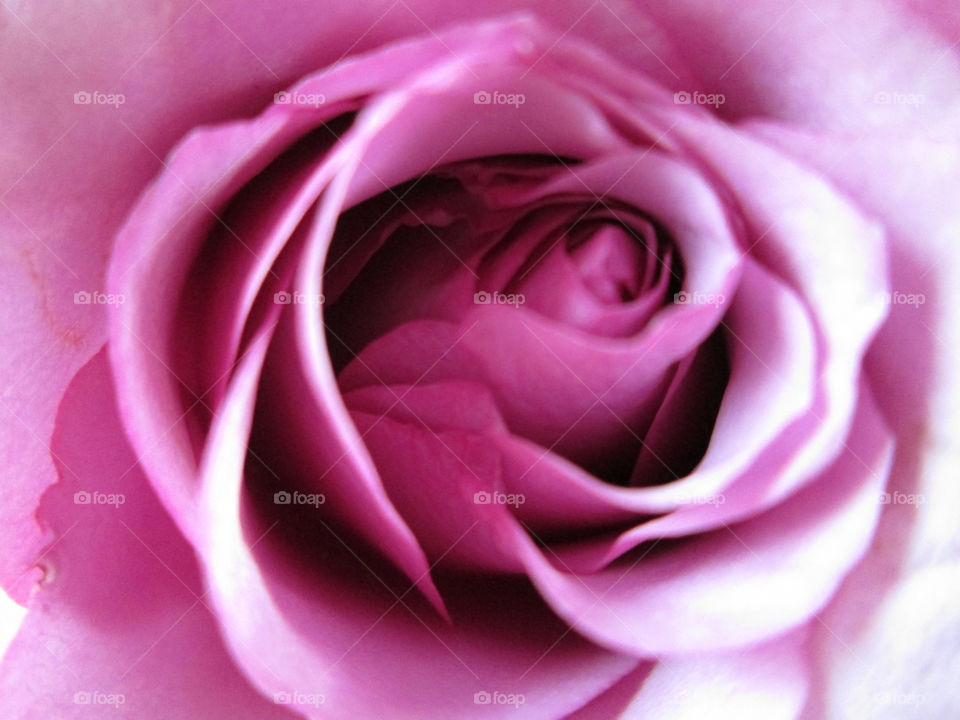 Wonderful gift from my boyfriend!