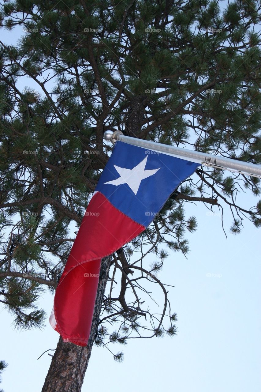 Texas Flag