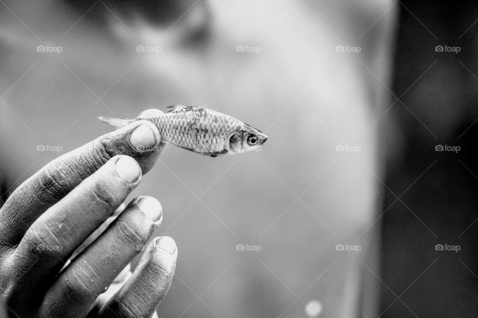 A fisherman's Treasure