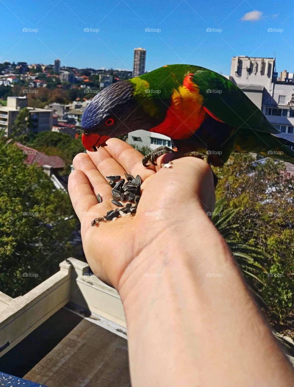 It’s adorable love them so much 