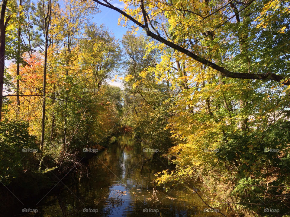 nature trees autumn river by lexlebeur