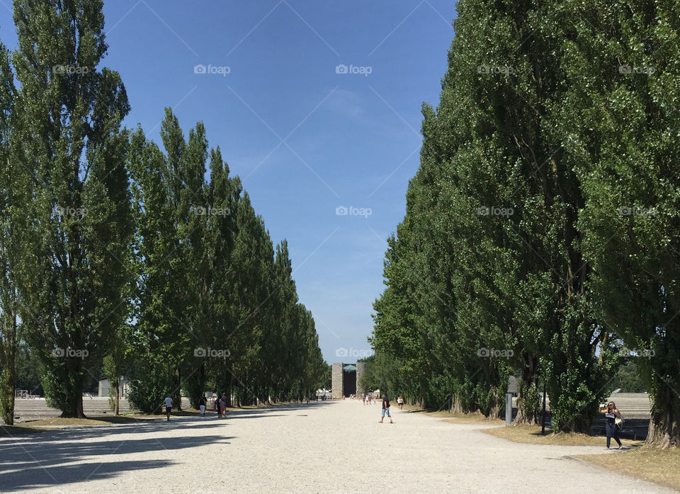 Dachau Work Camp
Germany