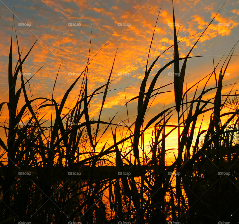 The sky was filled with the most brilliant orange complimented perfectly with hues of gold, yellow, red and crimson. An orange haze had casted over the water, reflecting off every wave.  Finally,the sun disappears along with the shine. I can only wait to see another magical moment of beauty and warmth! I can only wait for another sunset! Enjoy!