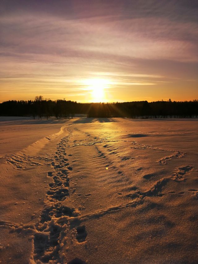 sunset