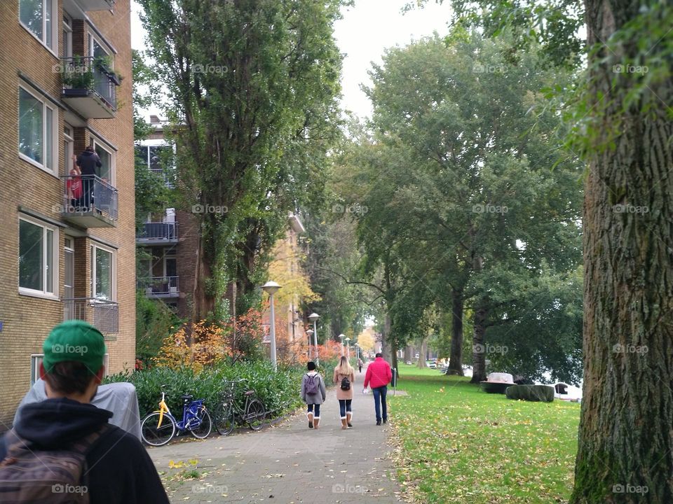 Let's take a walk :)