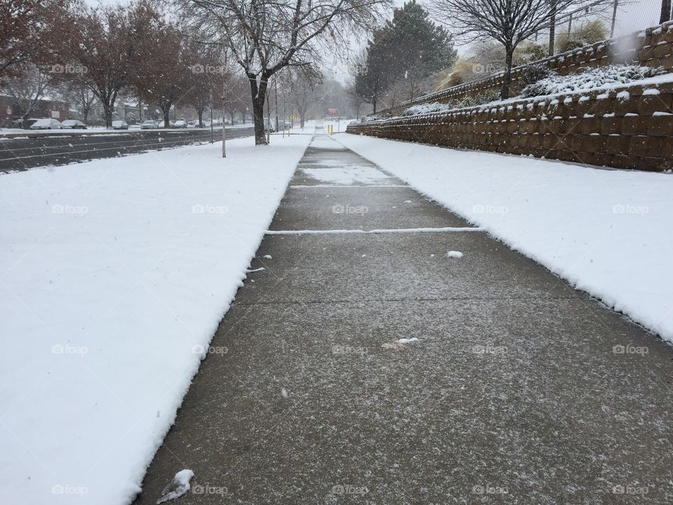 A lonely sidewalk in a Salt Lake City neighborhood after a recent snowfall. White winter in Utah.