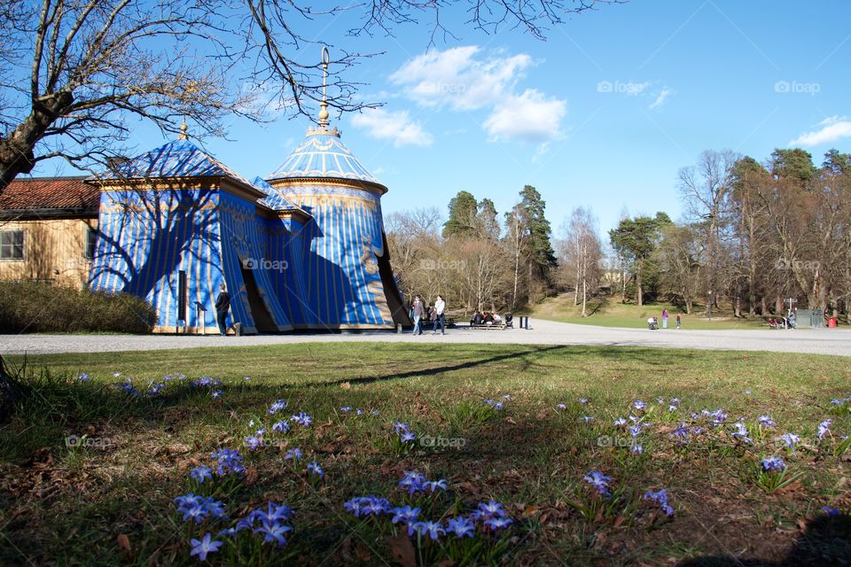 Spring in Haga park . Spring in Haga park, Stockholm 