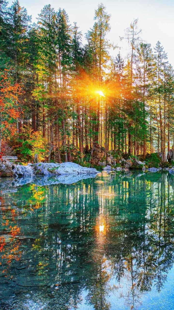 sun 🌞and natural ✨