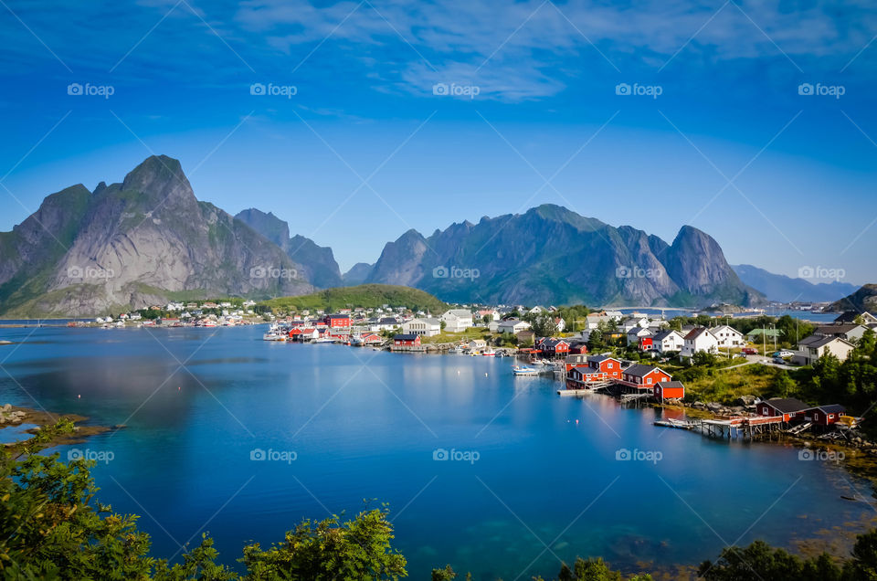 Reine