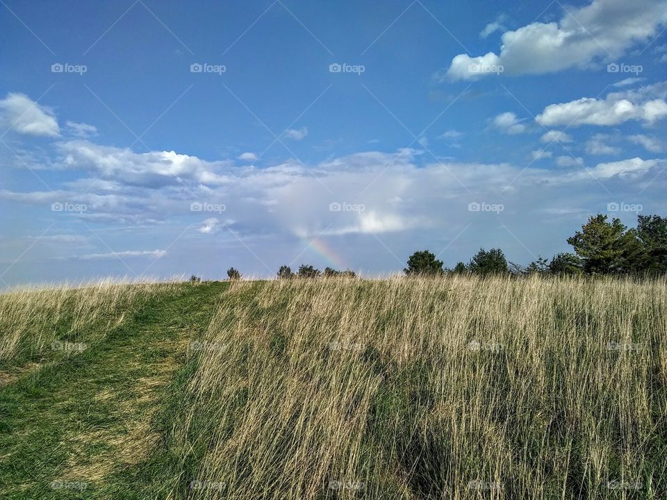 Fields of green and skies of blue