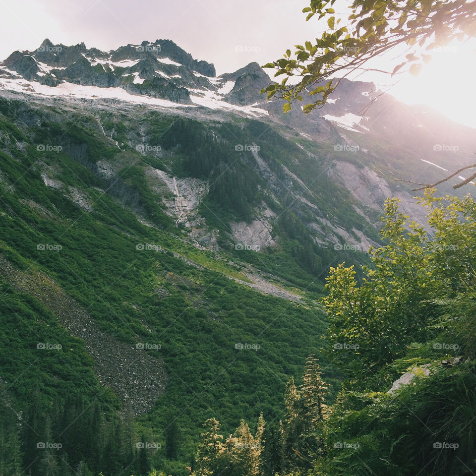 The best view of Nature..