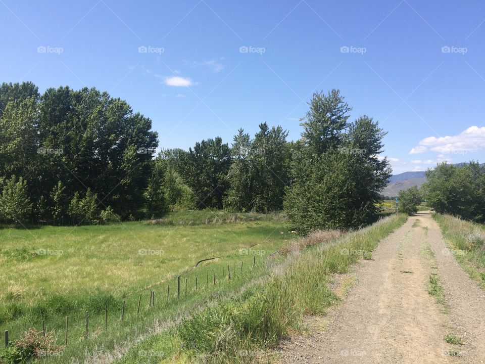 Beautiful scenic nature hike 