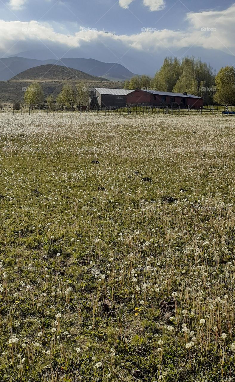 vacaciones en el campo