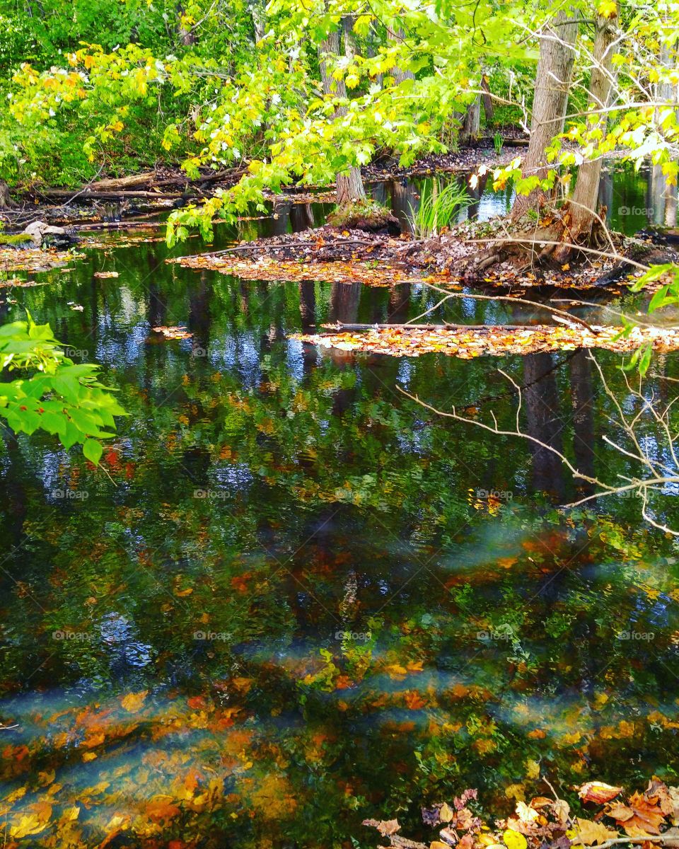 Fall Reflections