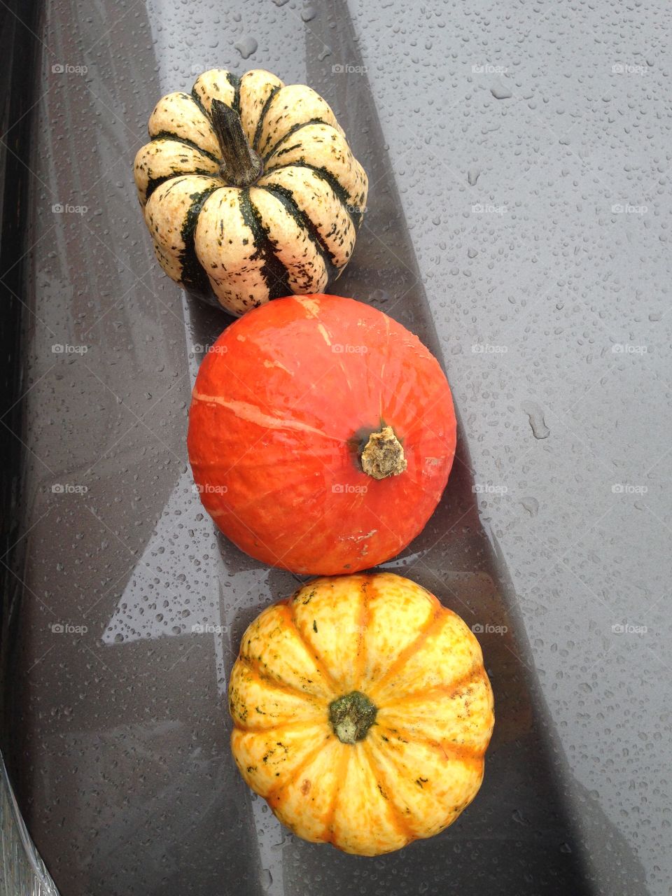 Triple pumpkin 