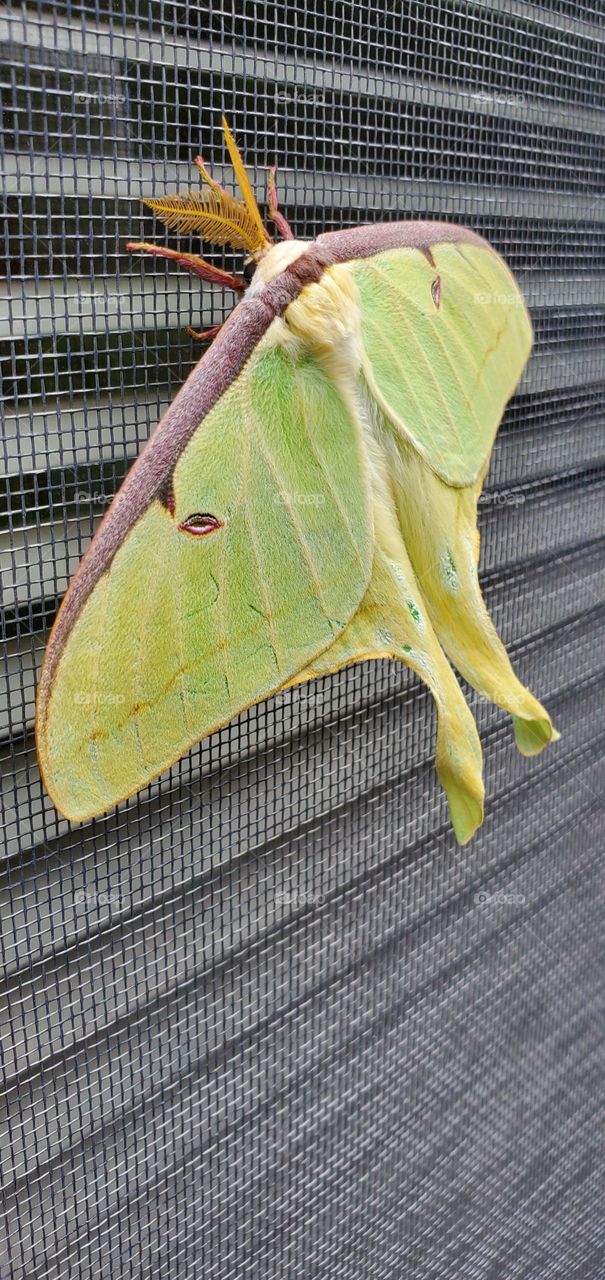 Nature in its beauty