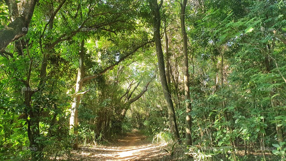 uma caminhada a natureza