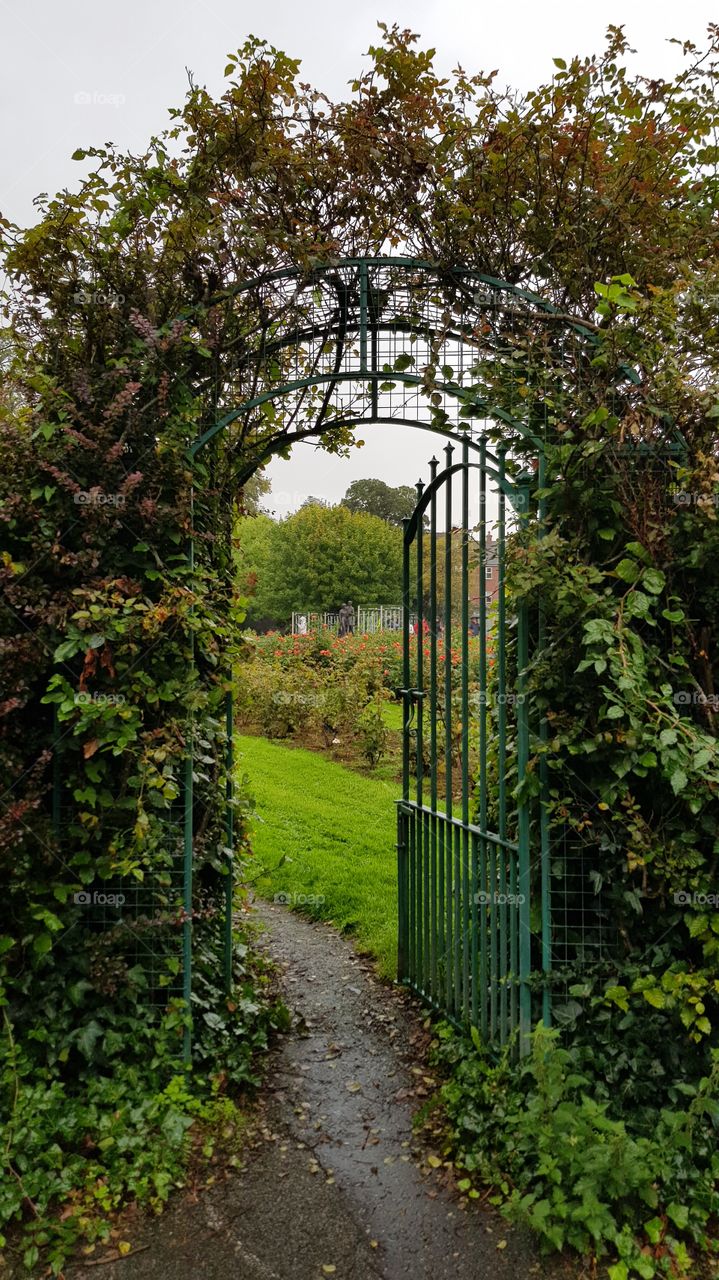 Gate, Green, Outdoor, Grass, Garden, Leaf, tree, nature, flowers